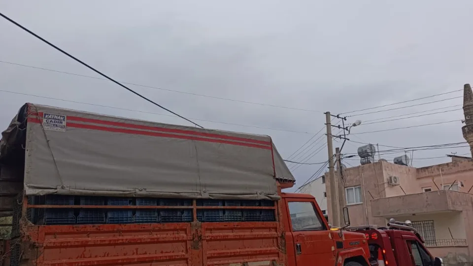 Pak Oto Kurtarma - 1