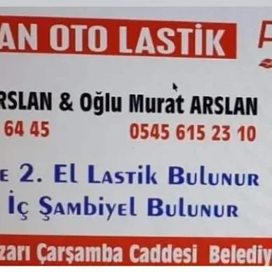 PETLAS ARSLAN OTOLASTİK
